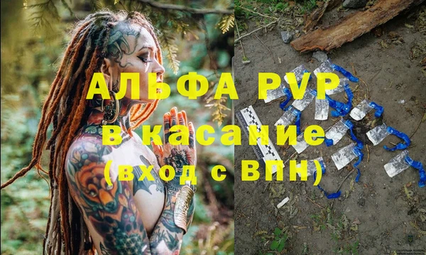 дмт Инта
