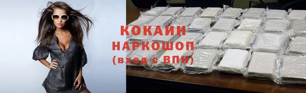 дмт Инта
