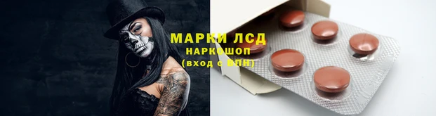 дмт Инта
