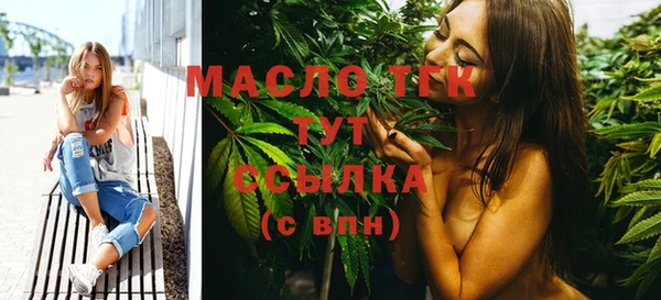 дмт Инта