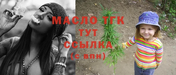 дмт Инта
