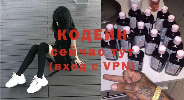 дмт Инта