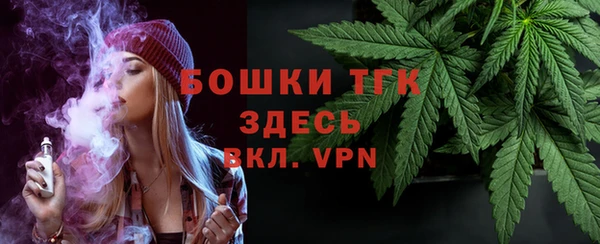 дмт Инта