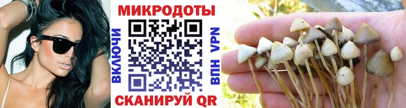 Галлюциногенные грибы ЛСД  Купить закладки  Надым 